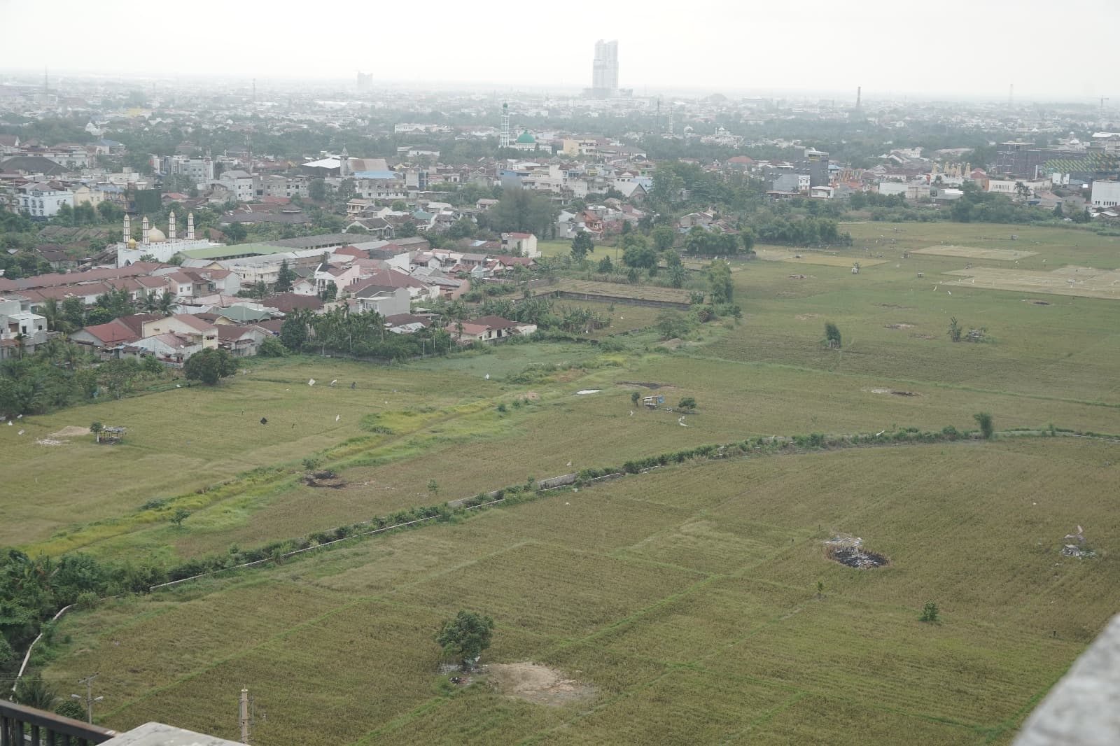 Pemandangan Alam